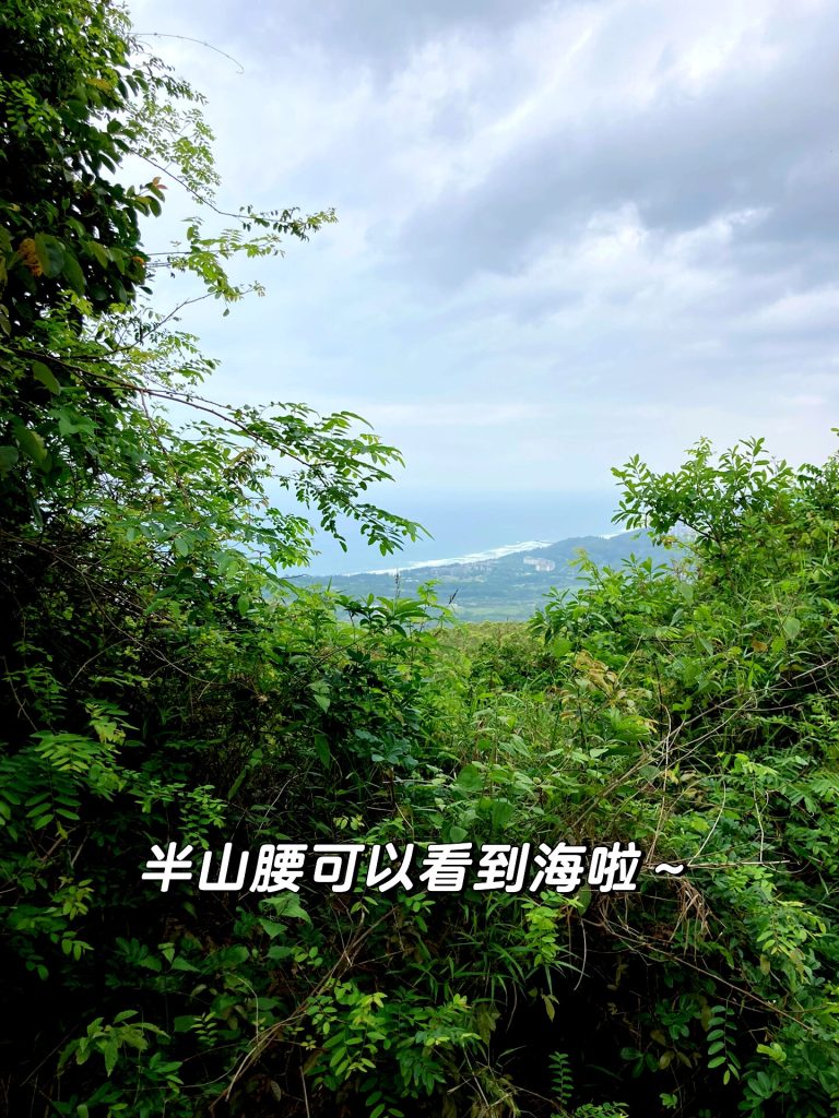 Coastal mountain view