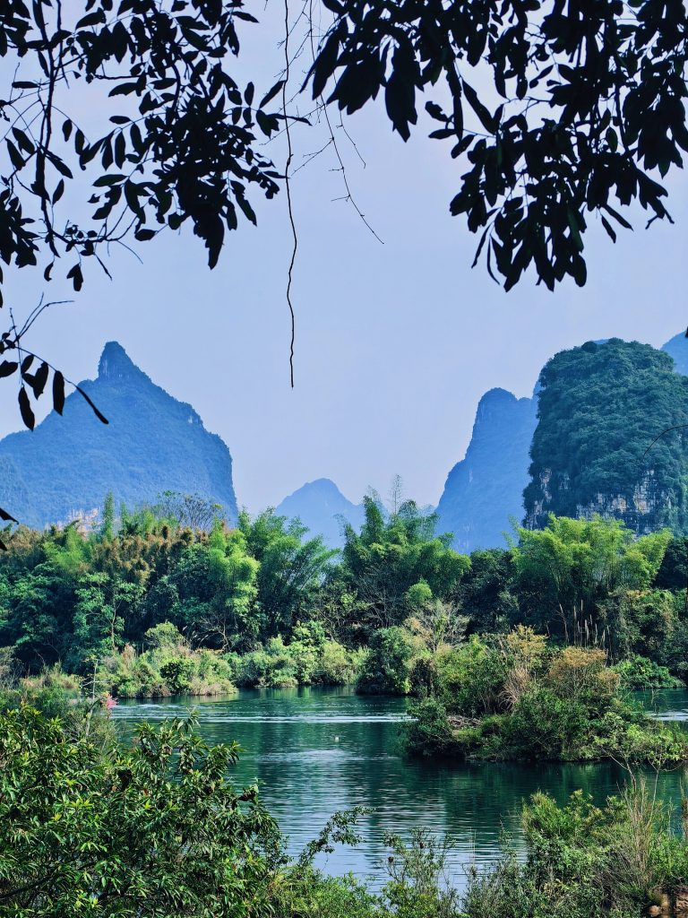 Dragon Pagoda view