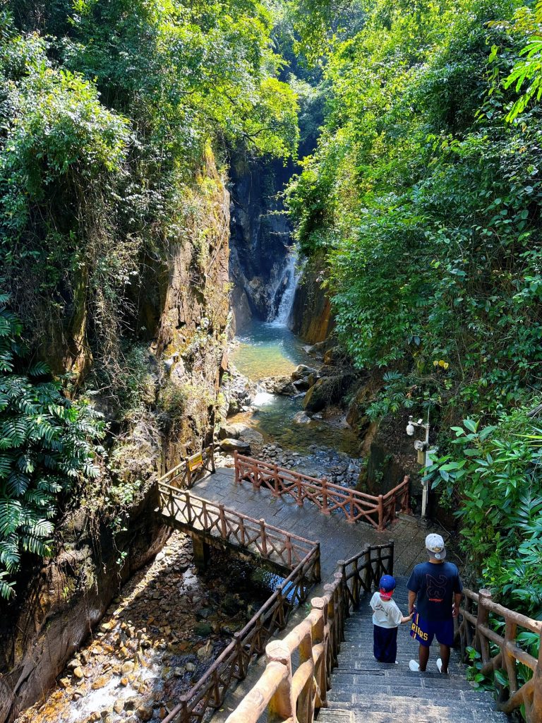 Stone path winding through lush valley with stream