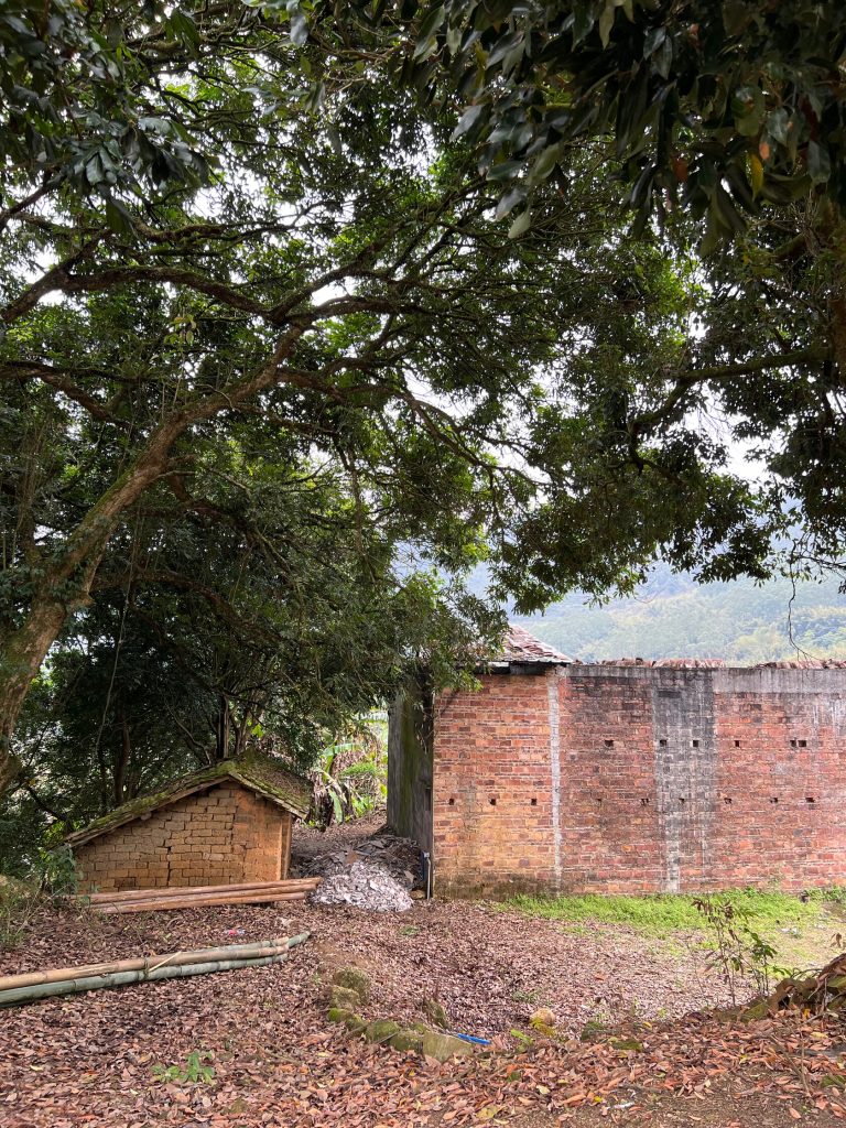 Wooden buildings surrounded by trees and leaves