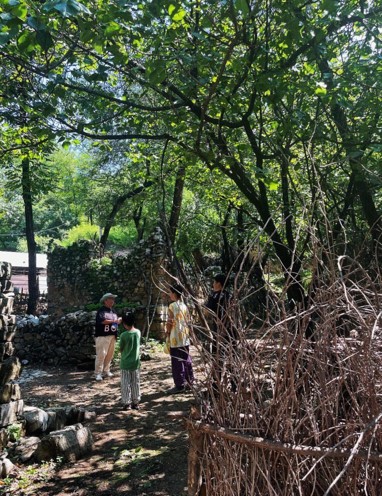 People walking through a forested path