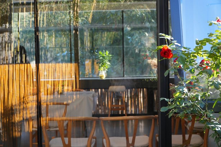 Sunlit seating area with wooden furniture and plants
