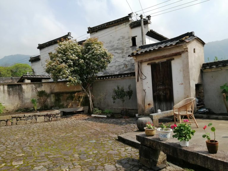 Courtyard house