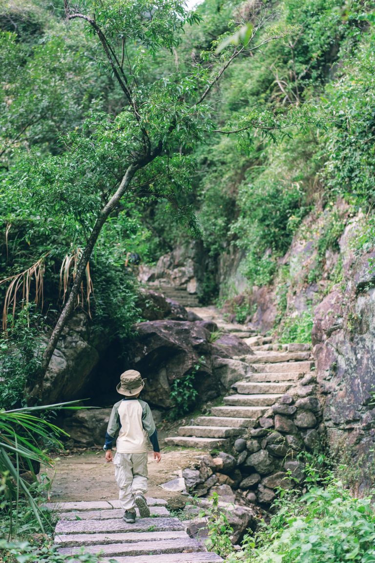 Stone path through forest