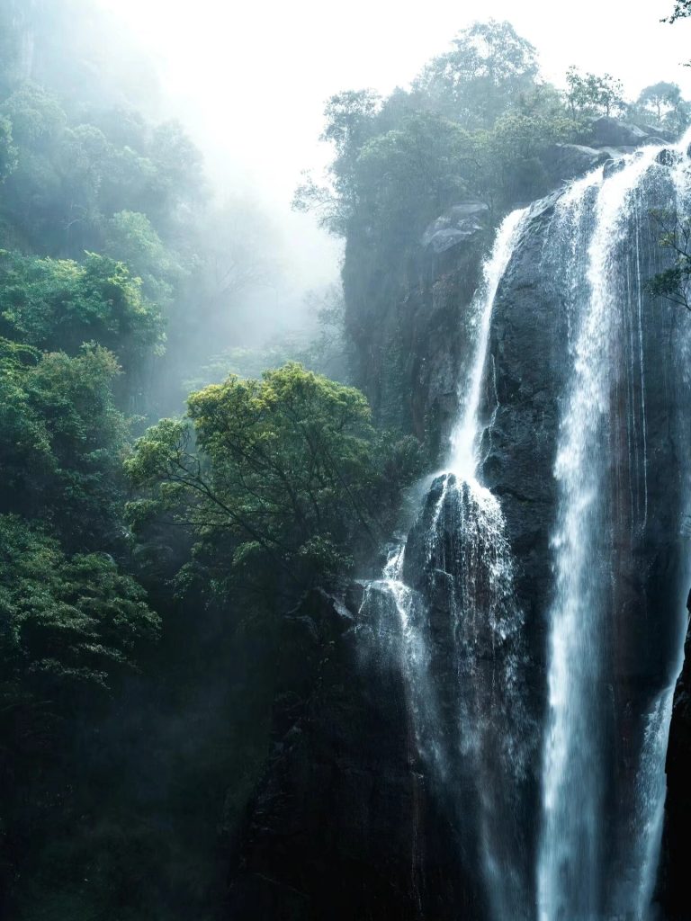 Waterfall in forest