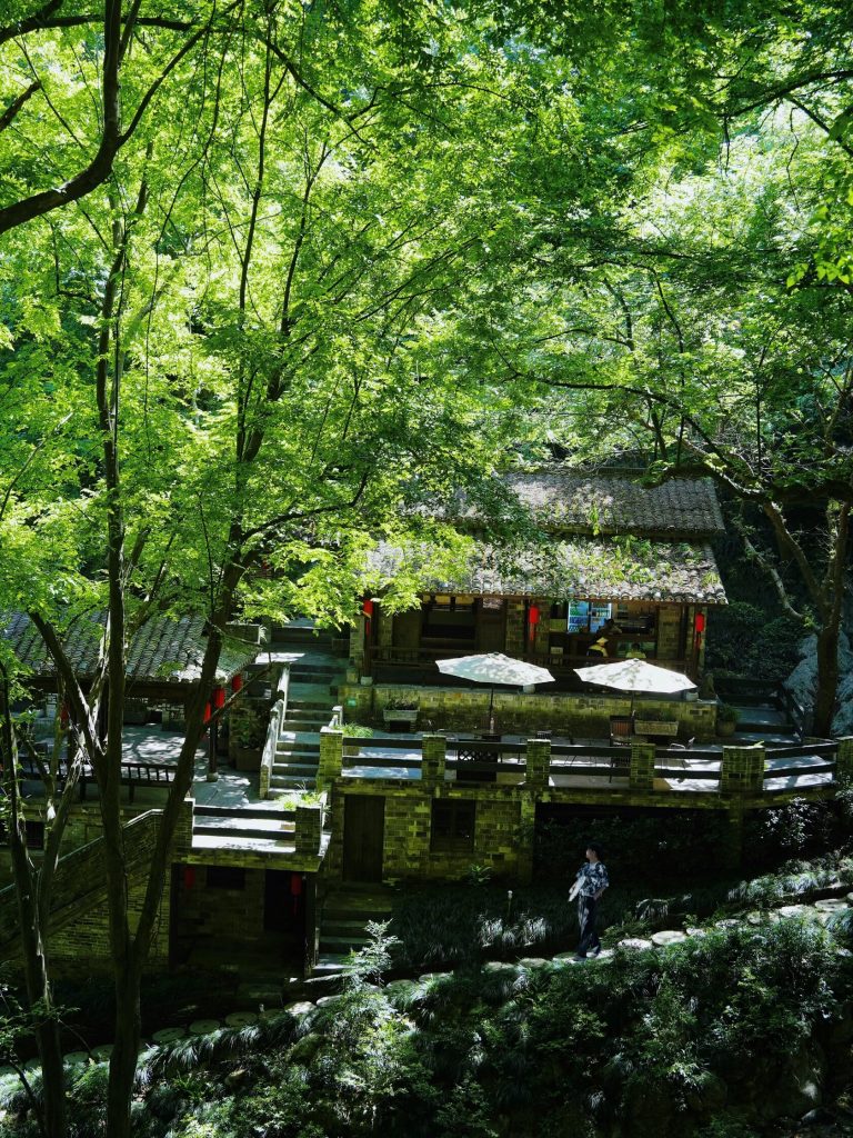 Sunlight filtering through trees onto traditional wooden building