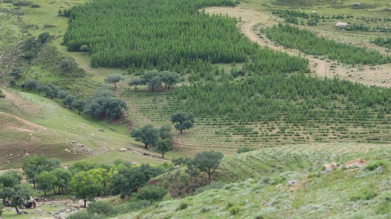 Lush mountain landscape with winding paths