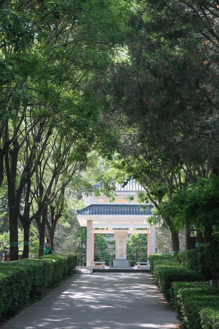 Traditional gate surrounded by dense trees