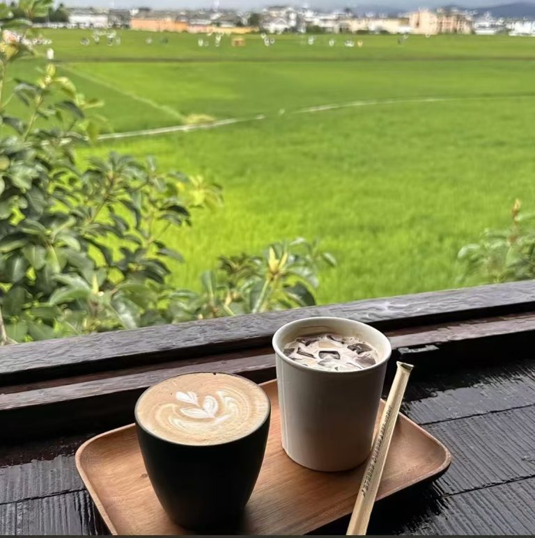 Coffee with rice terrace views