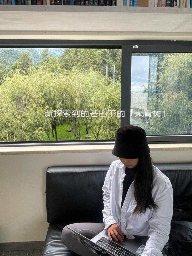 Working with mountain views