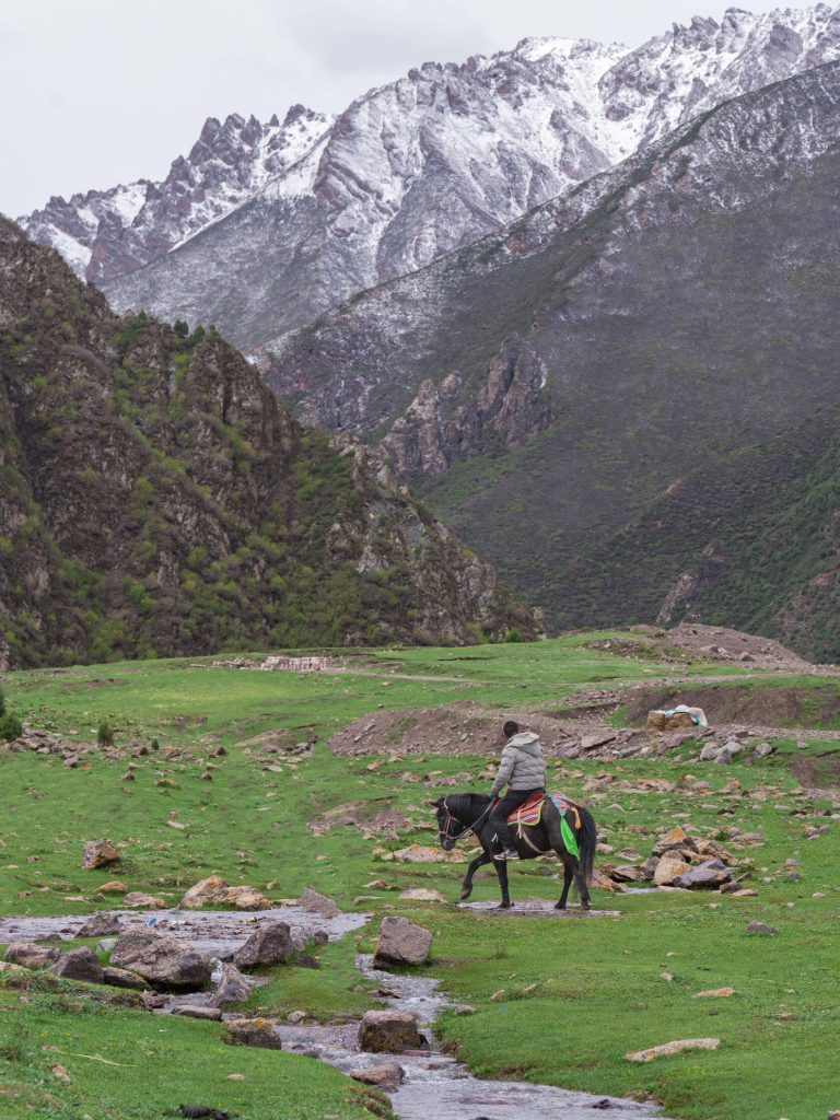 Horseback rider in mountain valley