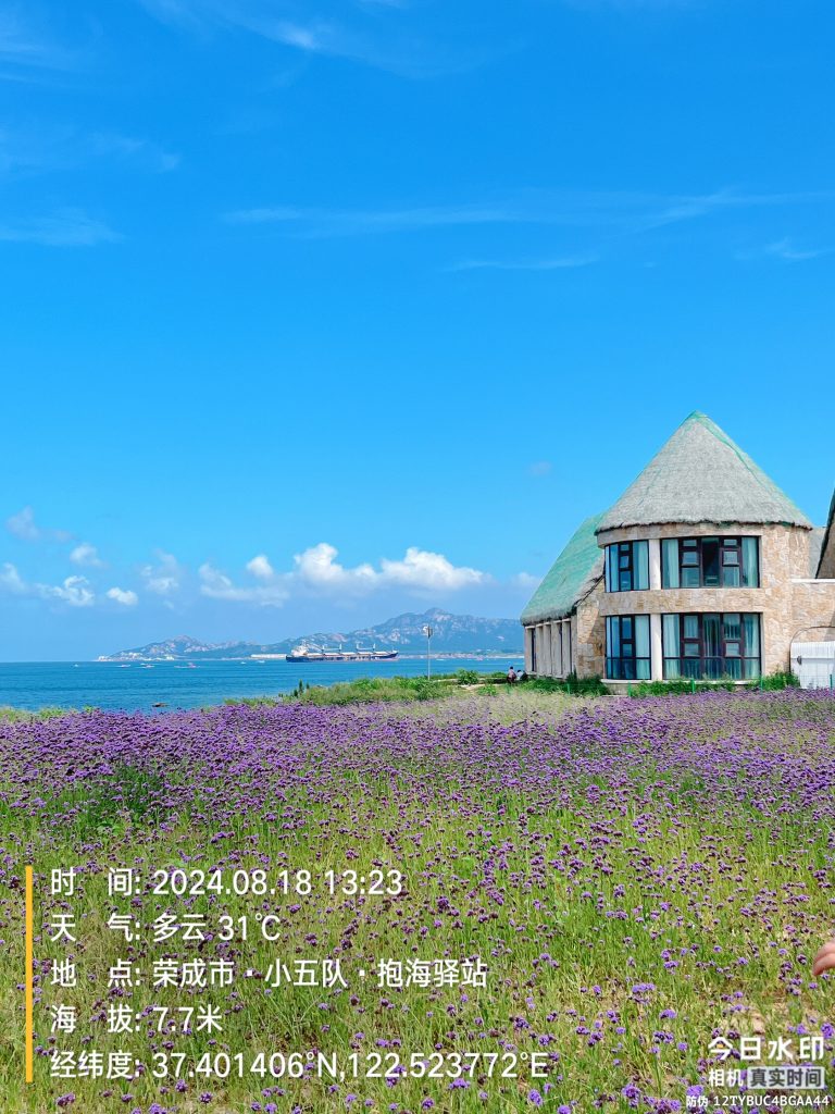 Coastal view with purple flower fields and thatched roof building
