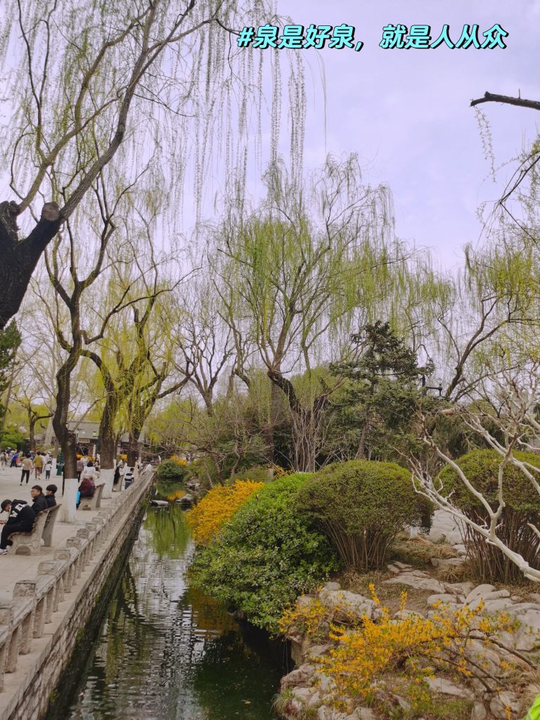 Serene river pathway surrounded by willow trees