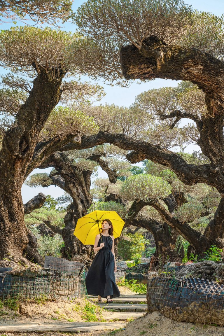 Person in a black dress standing under ancient, twisted trees