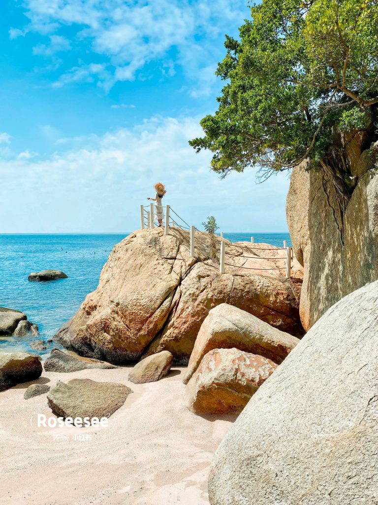 Rocky coastline with clear blue water and a small tree