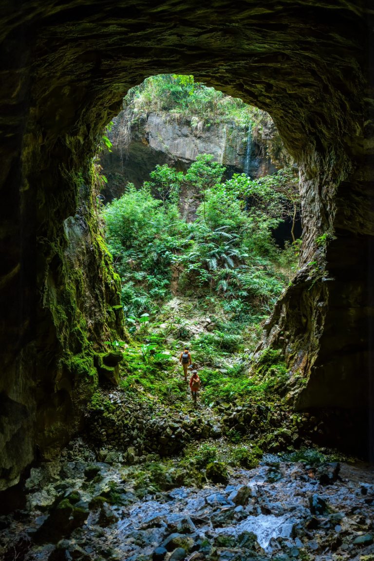 View from inside a cave looking out at lush green vegetation