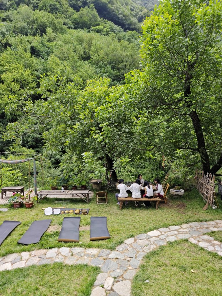 Green forest with lounge chairs and people sitting at tables