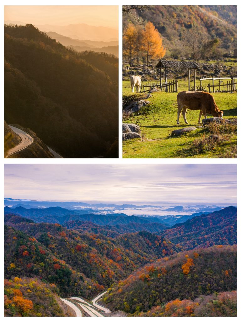 Scenic mountain road winding through autumn-colored forests