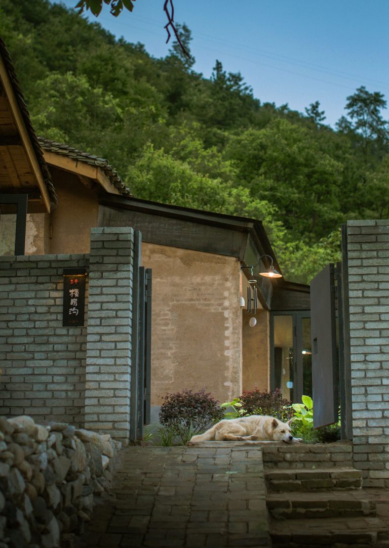 Traditional brick farmhouse with a yellow dog resting peacefully