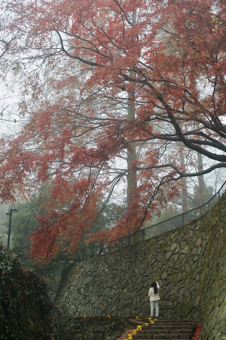 Autumn colors in Qinghai