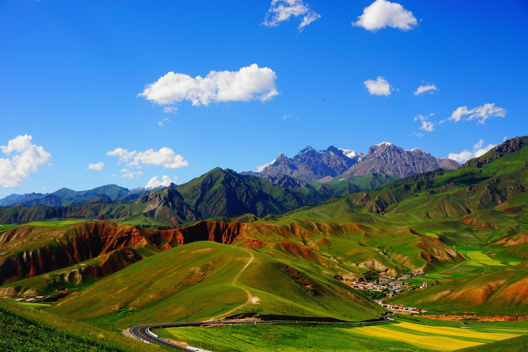 Golden rapeseed fields at Qinghai Lake