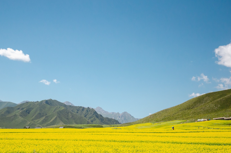 Prayer flags at Qinghai Lake