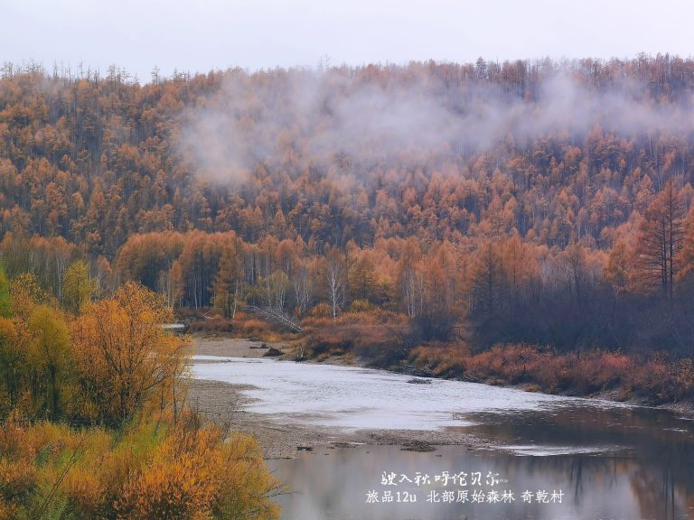 Heilongjiang winter adventure travel: Mohe Northern Lights