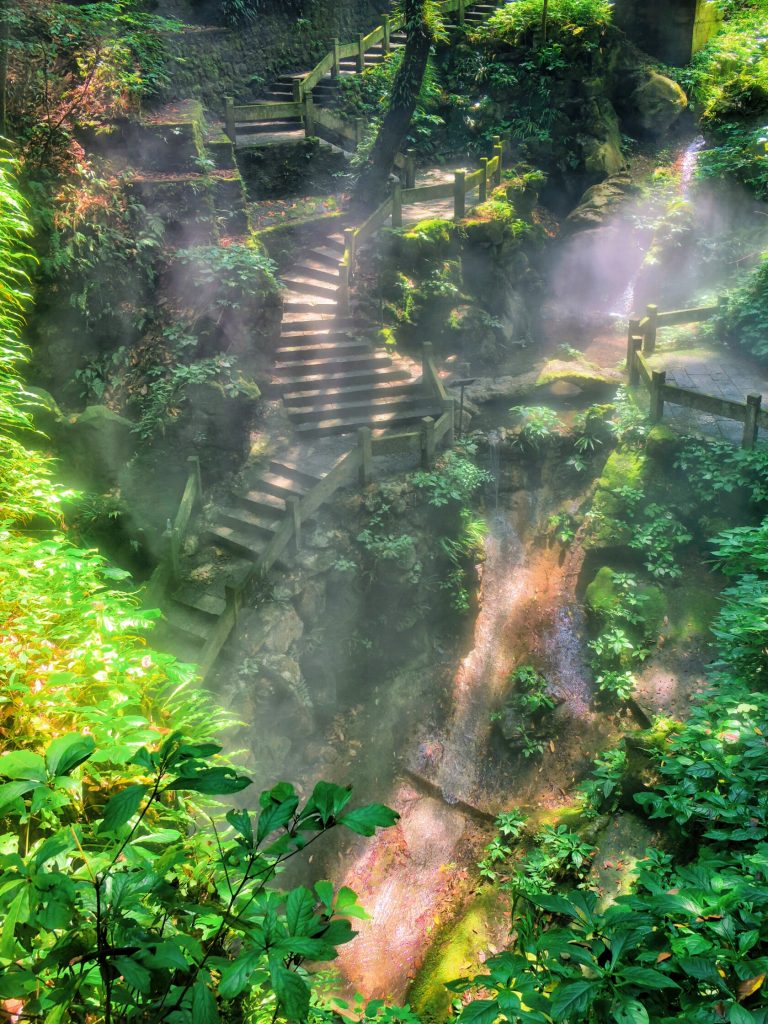 Shanghai Self-Drive Adventure magical forest path