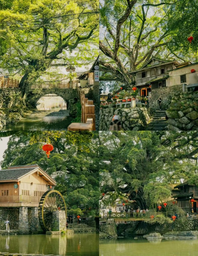 Yunshuiyao ancient village with stone paths and giant banyan trees - Fujian Tulou Exploration Adventure