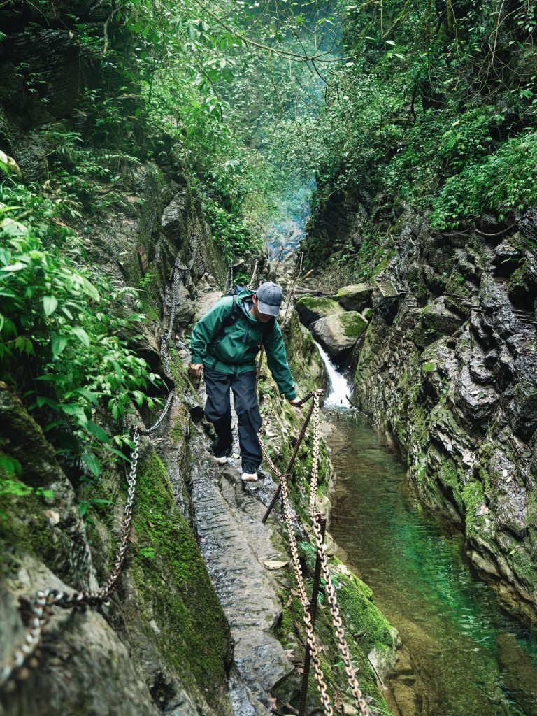 Hunan forest pathways