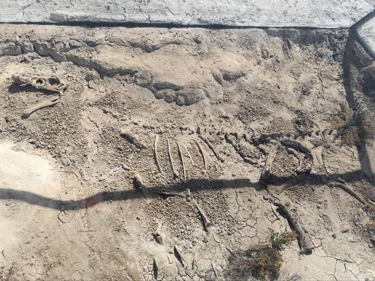 Close-up of volcanic basalt texture Inner Mongolia