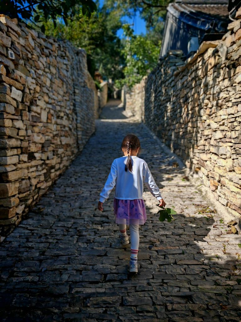 Tianjin countryside retreat stone alley in Xijingyu