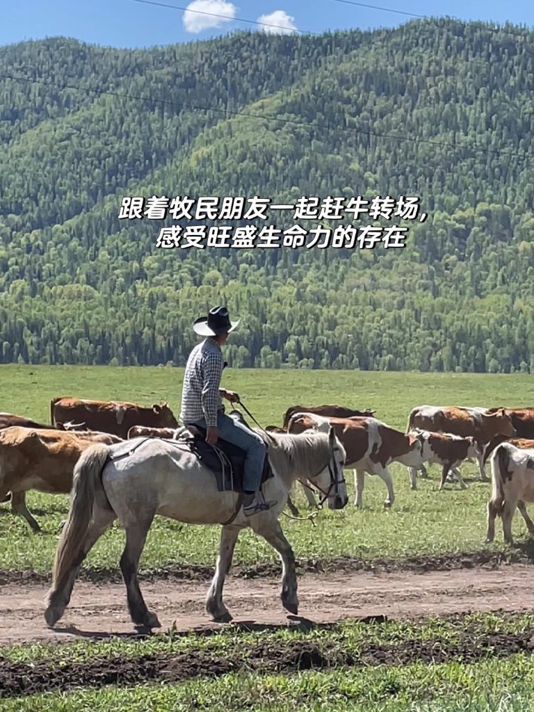 Kazakh family hospitality during Xinjiang hermit retreat