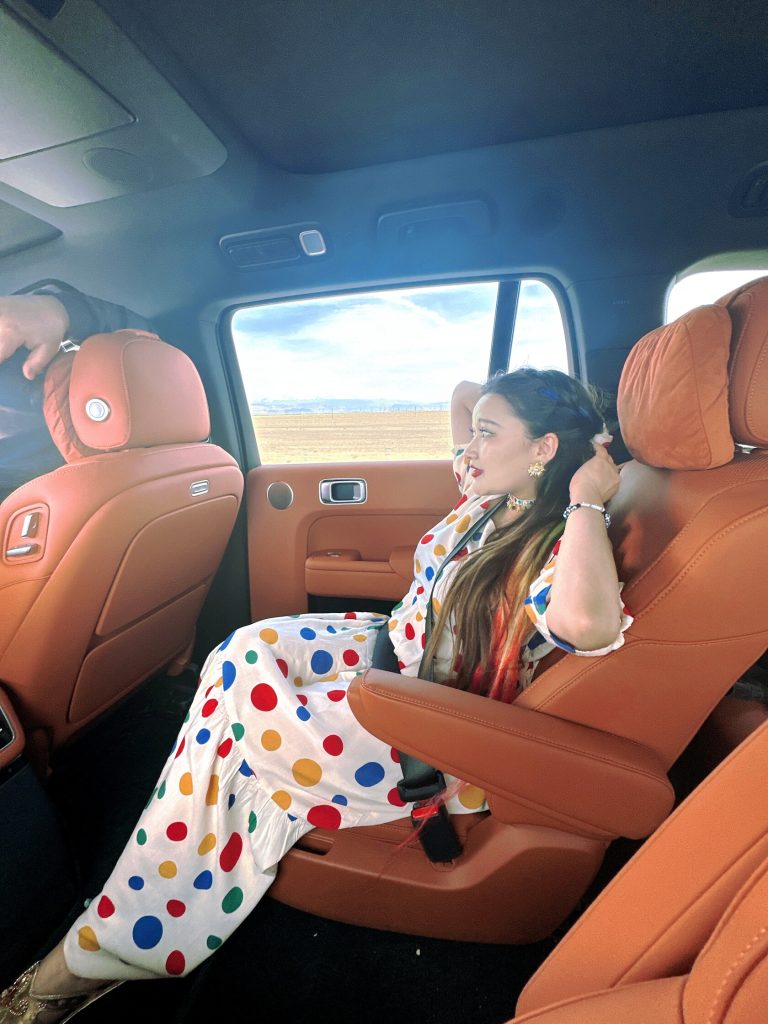 Xinjiang self-drive adventure car interior