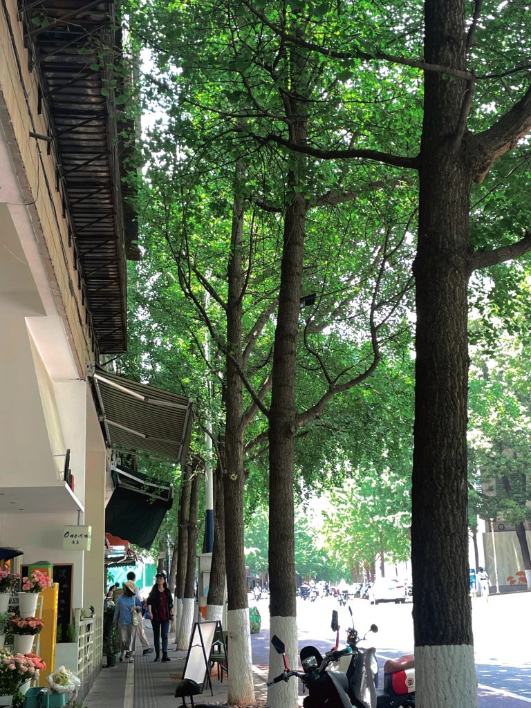 Dali digital nomad street cafe